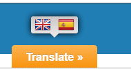 translation services